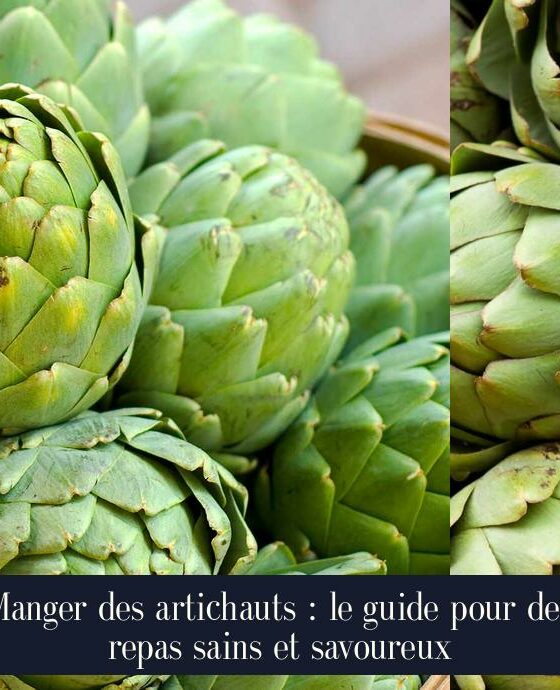 Manger des artichauts : le guide pour des repas sains et savoureux