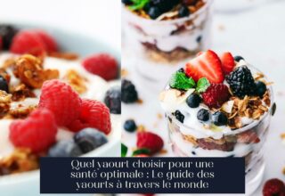 Quel yaourt choisir pour une santé optimale : Le guide des yaourts à travers le monde
