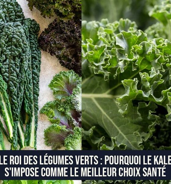 Le roi des légumes verts : pourquoi le kale s'impose comme le meilleur choix santé