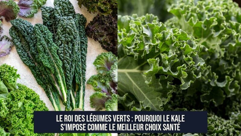 Le roi des légumes verts : pourquoi le kale s'impose comme le meilleur choix santé