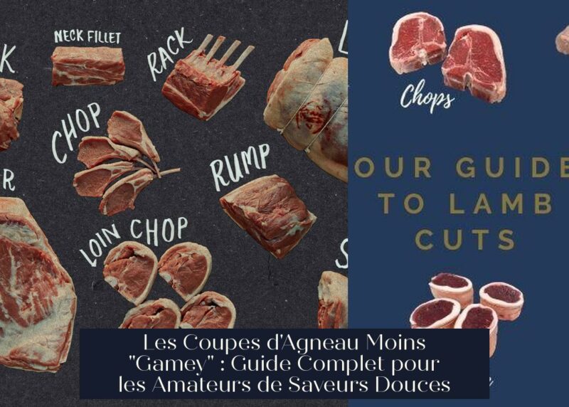 Les Coupes d'Agneau Moins "Gamey" : Guide Complet pour les Amateurs de Saveurs Douces