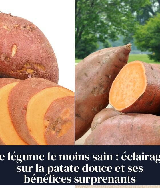 Le légume le moins sain : éclairage sur la patate douce et ses bénéfices surprenants