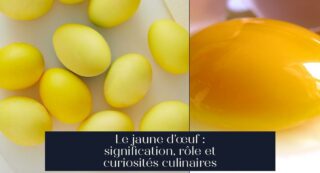 Le jaune d'œuf : signification, rôle et curiosités culinaires