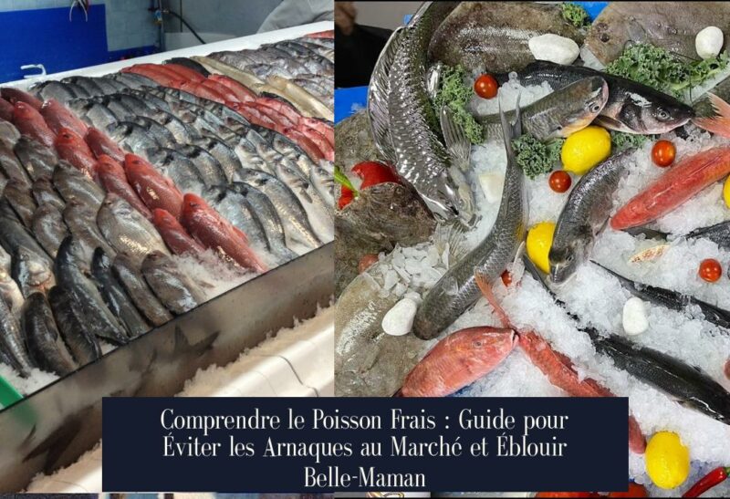 Comprendre le Poisson Frais : Guide pour Éviter les Arnaques au Marché et Éblouir Belle-Maman