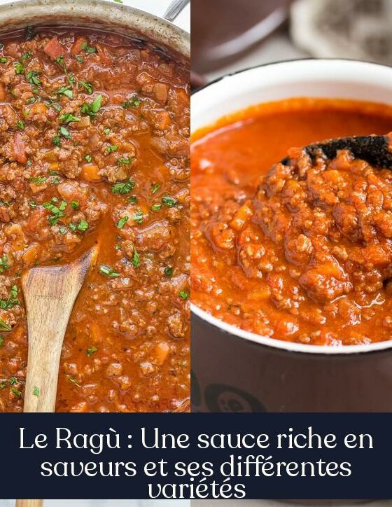 Le Ragù : Une sauce riche en saveurs et ses différentes variétés