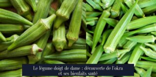 Le légume doigt de dame : découverte de l'okra et ses bienfaits santé
