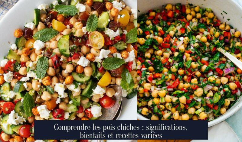 Comprendre les pois chiches : significations, bienfaits et recettes variées
