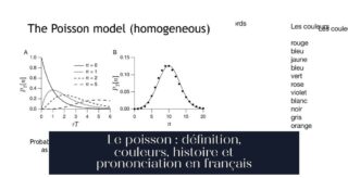 Le poisson : définition, couleurs, histoire et prononciation en français