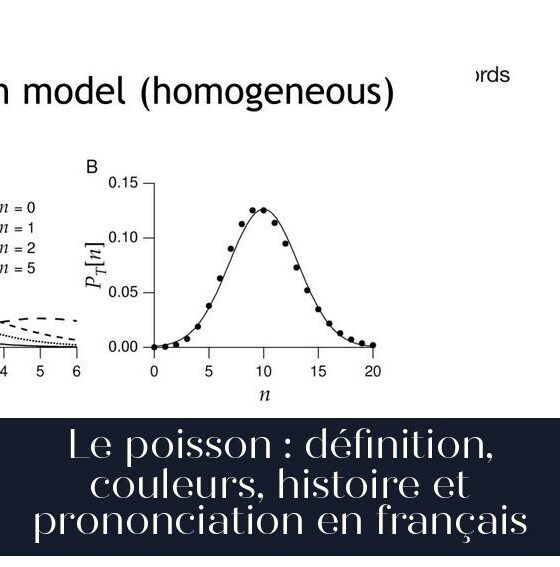 Le poisson : définition, couleurs, histoire et prononciation en français