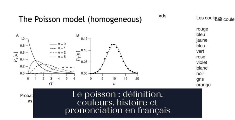 Le poisson : définition, couleurs, histoire et prononciation en français