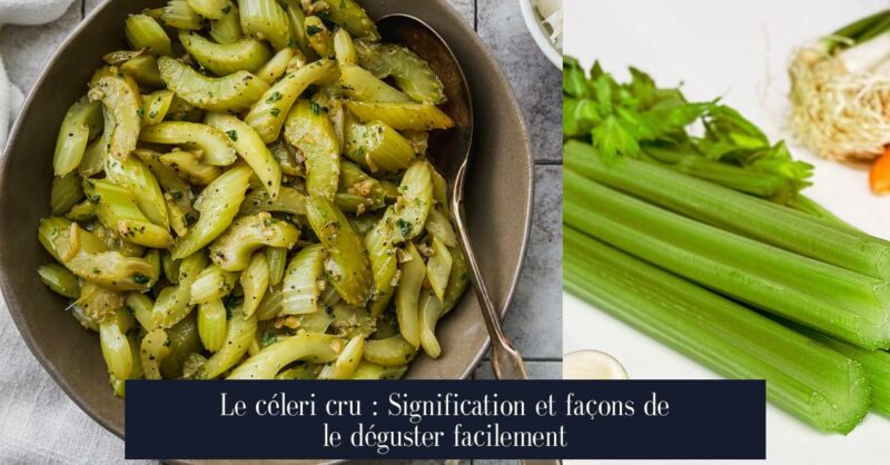 Le céleri cru : Signification et façons de le déguster facilement