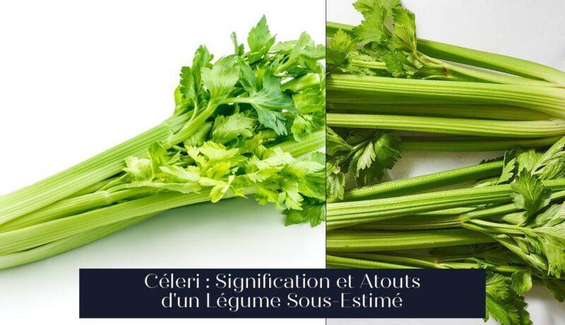 Céleri : Signification et Atouts d'un Légume Sous-Estimé