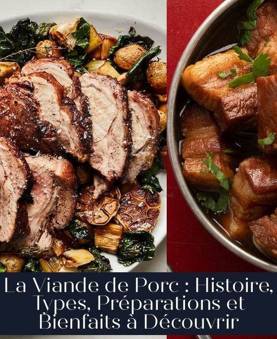 La Viande de Porc : Histoire, Types, Préparations et Bienfaits à Découvrir