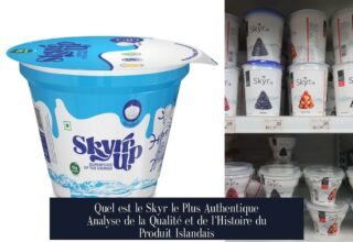 Quel est le Skyr le Plus Authentique Analyse de la Qualité et de l'Histoire du Produit Islandais