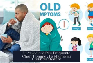 La Maladie la Plus Fréquente Chez l'Homme : Le Rhume au Cœur du Mystère