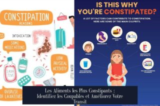 Les Aliments les Plus Constipants : Identifiez les Coupables et Améliorez Votre Transit