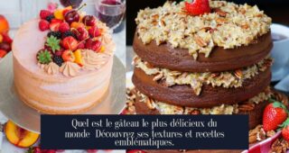 Quel est le gâteau le plus délicieux du monde Découvrez ses textures et recettes emblématiques.
