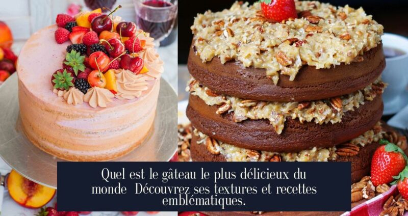 Quel est le gâteau le plus délicieux du monde Découvrez ses textures et recettes emblématiques.