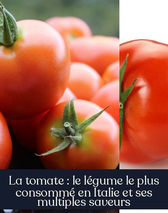 La tomate : le légume le plus consommé en Italie et ses multiples saveurs