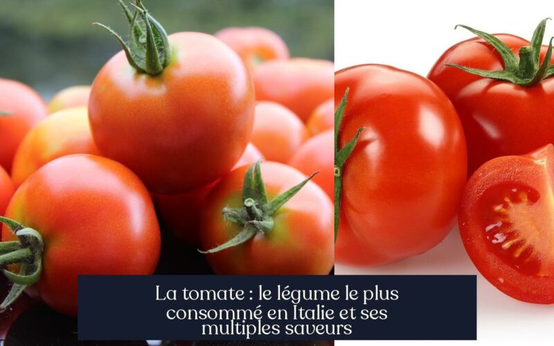La tomate : le légume le plus consommé en Italie et ses multiples saveurs