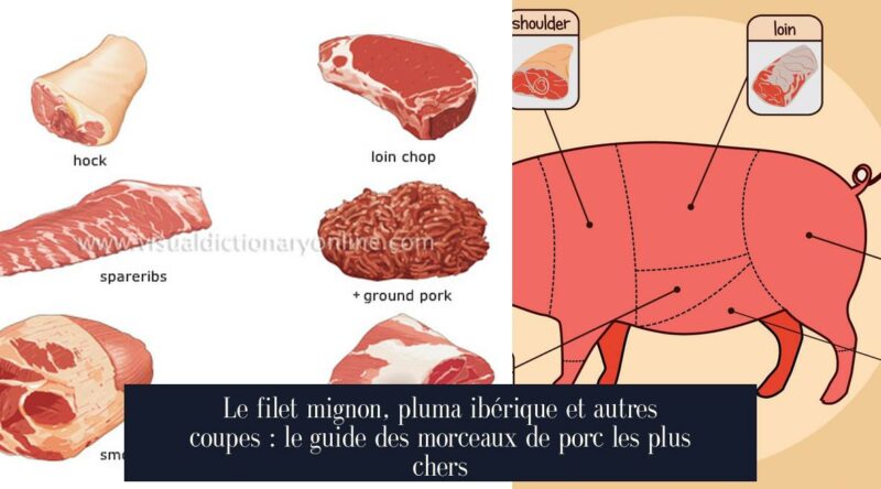 Le filet mignon, pluma ibérique et autres coupes : le guide des morceaux de porc les plus chers