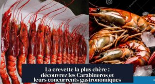 La crevette la plus chère : découvrez les Carabineros et leurs concurrents gastronomiques