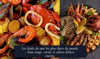 Les fruits de mer les plus chers du monde : thon rouge, caviar et autres délices marins