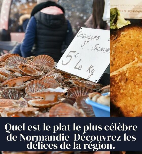 Quel est le plat le plus célèbre de Normandie Découvrez les délices de la région.