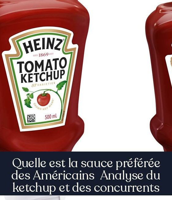 Quelle est la sauce préférée des Américains Analyse du ketchup et des concurrents