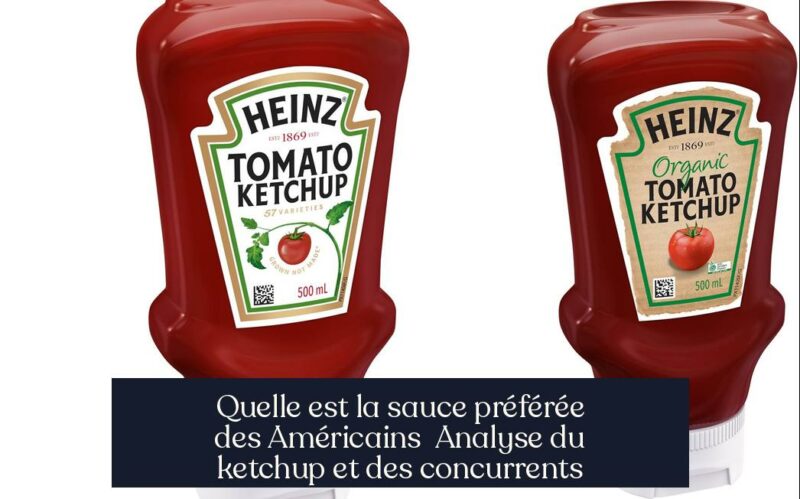 Quelle est la sauce préférée des Américains Analyse du ketchup et des concurrents