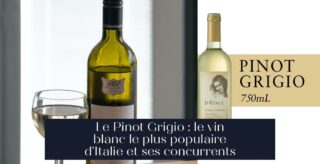 Le Pinot Grigio : le vin blanc le plus populaire d'Italie et ses concurrents