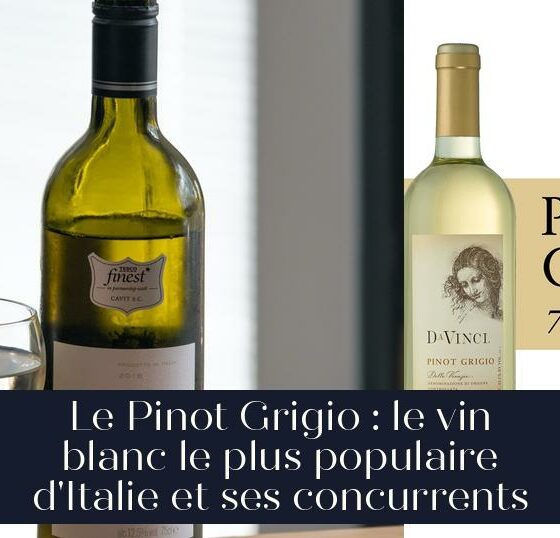 Le Pinot Grigio : le vin blanc le plus populaire d'Italie et ses concurrents