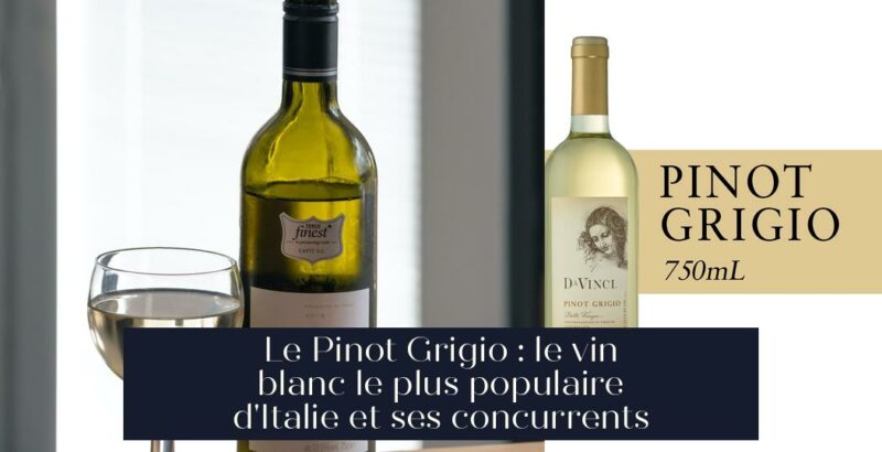 Le Pinot Grigio : le vin blanc le plus populaire d'Italie et ses concurrents