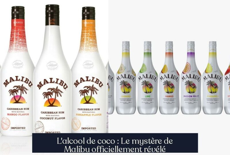 L'alcool de coco : Le mystère de Malibu officiellement révélé