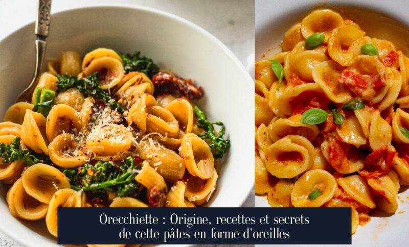 Orecchiette : Origine, recettes et secrets de cette pâtes en forme d'oreilles