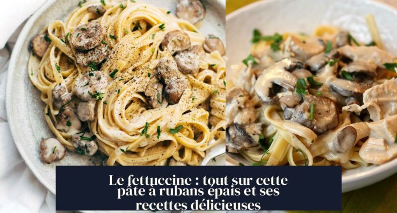 Le fettuccine : tout sur cette pâte à rubans épais et ses recettes délicieuses