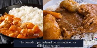La Domoda : plat national de la Gambie et ses délicieuses saveurs