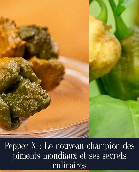 Pepper X : Le nouveau champion des piments mondiaux et ses secrets culinaires