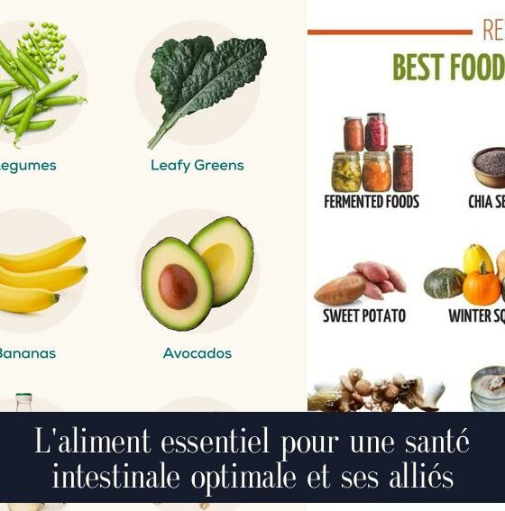 L'aliment essentiel pour une santé intestinale optimale et ses alliés