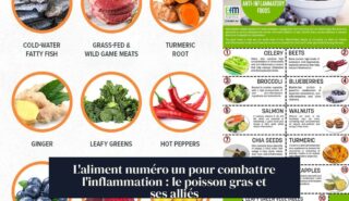L'aliment numéro un pour combattre l'inflammation : le poisson gras et ses alliés
