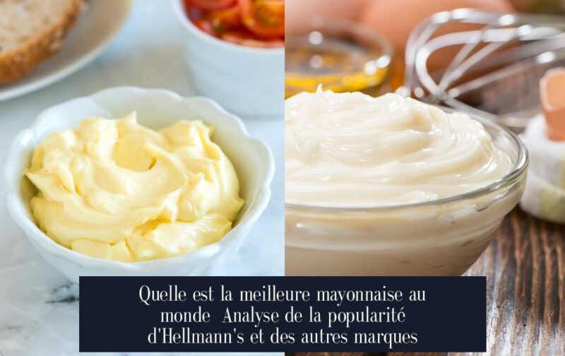 Quelle est la meilleure mayonnaise au monde Analyse de la popularité d'Hellmann's et des autres marques