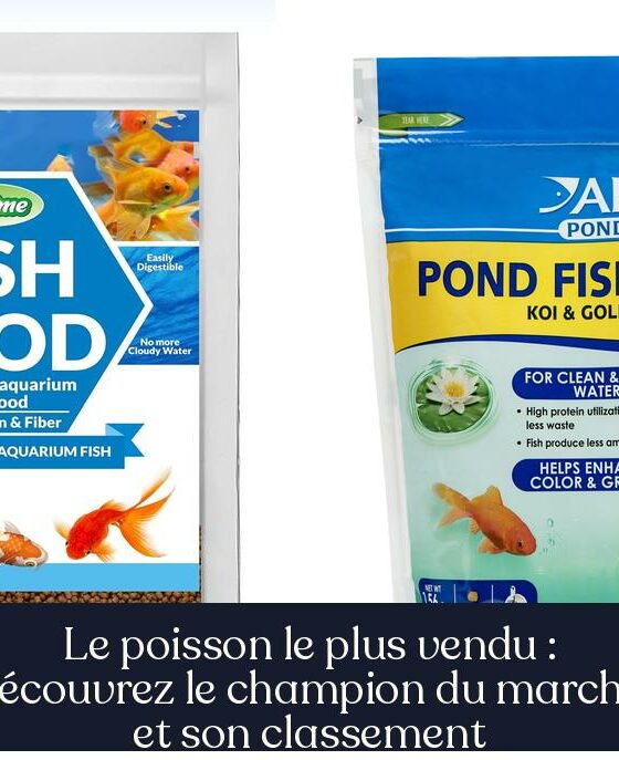 Le poisson le plus vendu : découvrez le champion du marché et son classement