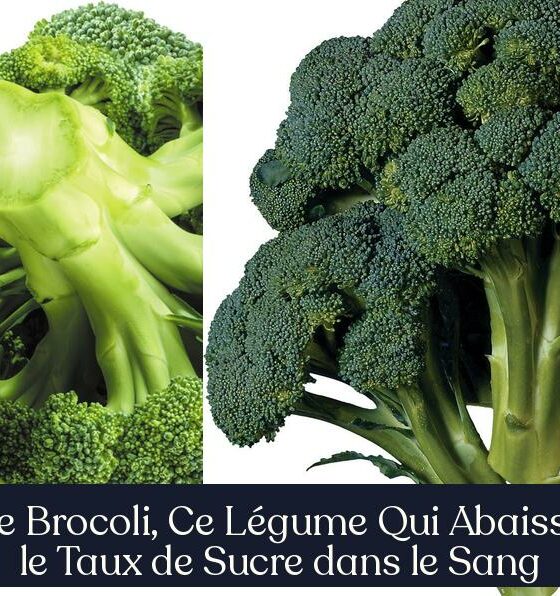 Le Brocoli, Ce Légume Qui Abaisse le Taux de Sucre dans le Sang