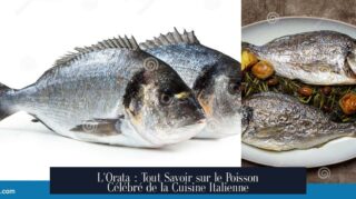 L'Orata : Tout Savoir sur le Poisson Célébré de la Cuisine Italienne