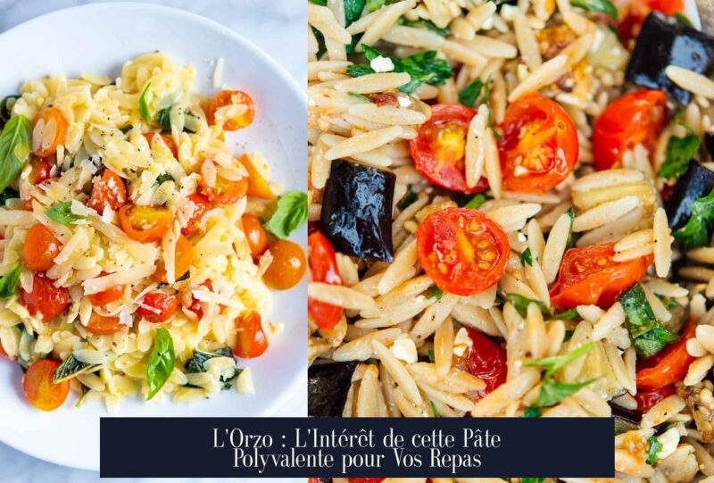 L'Orzo : L'Intérêt de cette Pâte Polyvalente pour Vos Repas