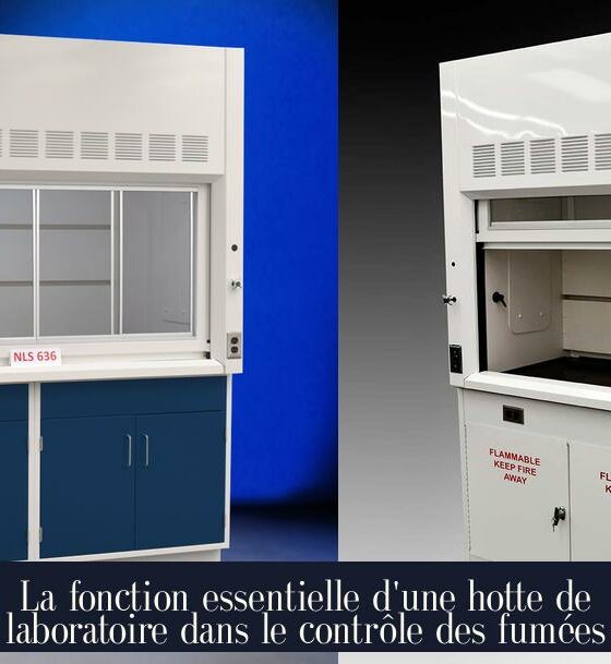 La fonction essentielle d'une hotte de laboratoire dans le contrôle des fumées