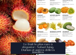 Le fruit le plus rare à déguster : Yubari King, Durian et autres délices insolites
