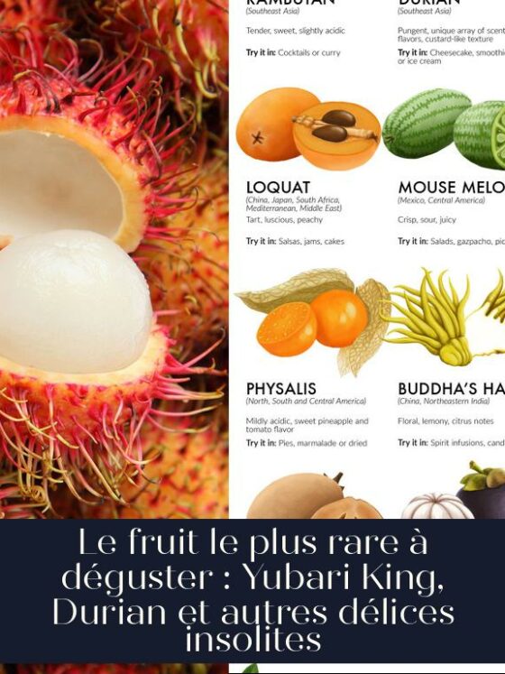 Le fruit le plus rare à déguster : Yubari King, Durian et autres délices insolites