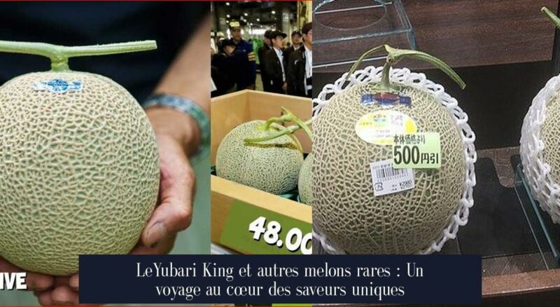 LeYubari King et autres melons rares : Un voyage au cœur des saveurs uniques