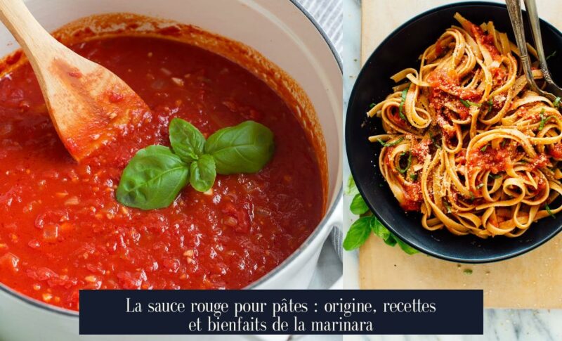 La sauce rouge pour pâtes : origine, recettes et bienfaits de la marinara